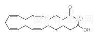 20-carboxy Arachidonic Acid