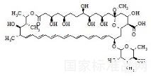 兩性霉素X1標準品