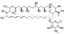 兩性霉素B-13C6標(biāo)準(zhǔn)品