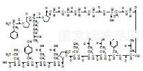 beta-Asp9標(biāo)準(zhǔn)品