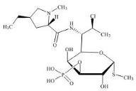 克林霉素B 3-磷酸標準品