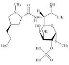 克林霉素磷酸酯EP雜質(zhì)F標(biāo)準(zhǔn)品