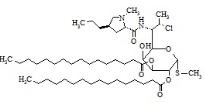 克林霉素2,3-二棕櫚酸酯標準品