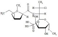 克林霉素磷酸酯雜質(zhì)C標(biāo)準(zhǔn)品
