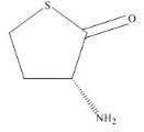D-Homocysteine Thiolactone標準品