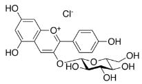 天竺葵-3-葡萄糖苷標(biāo)準(zhǔn)品