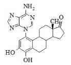 4-羥基雌酮1-N3-腺嘌呤標準品