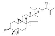 25-環木菠蘿烯-3,24-二醇對照品