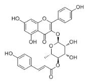 4''-O-反-對-香豆酰基黃酮對照品