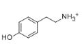 鹽酸酪胺對(duì)照品