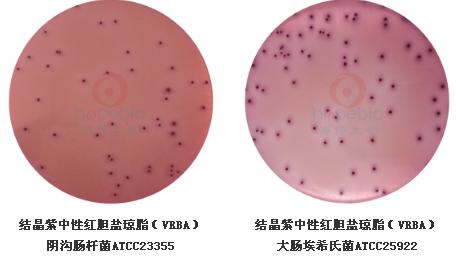 結(jié)晶紫中性紅膽鹽瓊脂（VRBA）顆粒