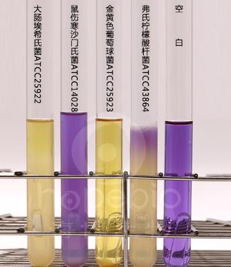 乳糖蛋白胨培養(yǎng)液顆粒