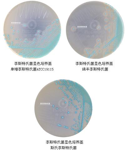 李斯特氏菌顯色平板