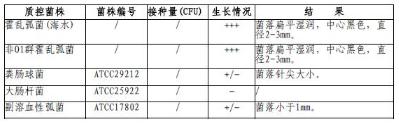 四號瓊脂平板