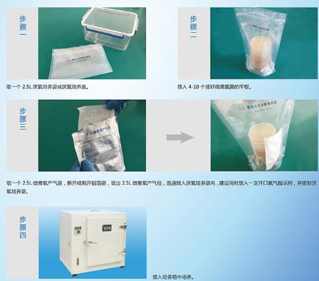2.5L厭氧產氣包