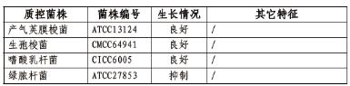 2.5L圓底立式厭氧培養袋