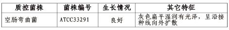 2.5L微需氧產氣包