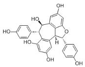 Ampelopsin A標(biāo)準(zhǔn)品