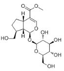 Adoxoside標準品