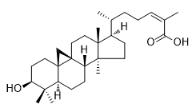 Schisandrolic acid標(biāo)準(zhǔn)品