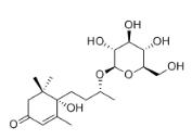Blumenol B 9-O-glucoside標準品