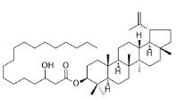 Lupeol 3-hydroxyoctadecanoate標準品