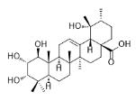 1β-羥基薔薇酸標準品