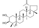 Lup-20(29)-ene-2α,3β-diol標準品