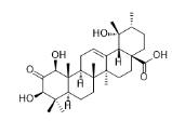 1β-羥基-2-氧代果樹酸標準品