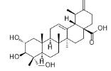 Actinidic acid標準品