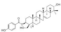 3-O-(p-Hydroxybenzoyl)serratriol標準品