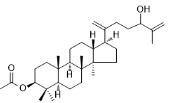 3-乙酰氧基-24-羥基達瑪-20,25-二烯標準品