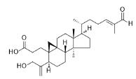 Coronalolic acid標(biāo)準(zhǔn)品