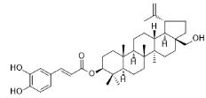 咖啡酸樺木醇酯標(biāo)準(zhǔn)品