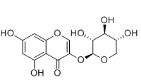 3,5,7-Trihydroxychromone 3-O-β-D-xylopyranoside標準品