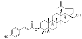 3-O-(E)對香豆酰基樺木腦標(biāo)準(zhǔn)品