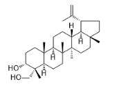 Lup-20（29）-烯-3α，23-二醇標準品