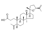 Richenoic acid標(biāo)準(zhǔn)品
