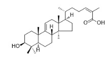 3β-羥基酰基諾斯塔9（11），24Z-二烯-26-油酸標準品