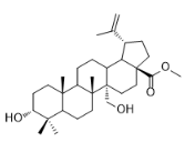 3,27-二羥基-20(29)-流明-28-酸甲酯標準品