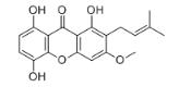 1,5,8-三羥基-3-甲氧基-2-異戊烯基氧雜蒽酮標準品