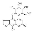 8-羥基香菜堿5-O-葡萄糖苷標(biāo)準(zhǔn)品