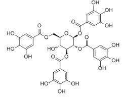 1,2,3,6-四-O-沒食子酰-β-D-葡萄糖標準品