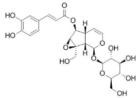 梓醇6-咖啡酸酯標準品