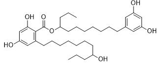 Integracin B標準品