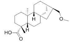 豨薟醚酸標準品