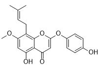 7-O-Methylepimedonin G標準品