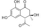 4-（反式）-乙酰基-3,6,8-三羥基-3-甲基二氫萘酮標準品