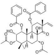 鄰苯二酚B標準品