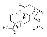ent-15α-Acetoxy-11α-hydroxykaur-16-en-19-oic acid標(biāo)準(zhǔn)品